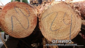 1446342240_obmer-kruglogo-lesa