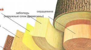 okor6