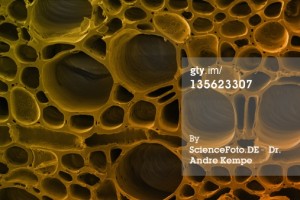 135623307   