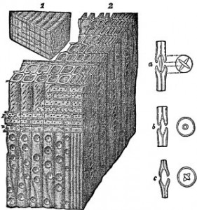 fig02  