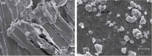 hf-2012-0116_fig3  