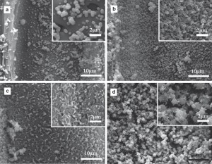 hf-2013-0196_fig5  